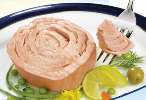 تصویر 3 از کنسرو ماهی سانتین آماده مصرف و خوش طعم